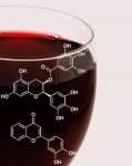 science & wine